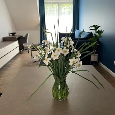 Apartment Poshspot Cluj-Napoca