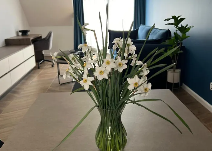 Apartament Poshspot Kluż-Napoka